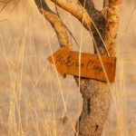 African_Parks_Zambia_Kafue_McBrides_Game_Drive_HR_2025_Sarah_Wang-10