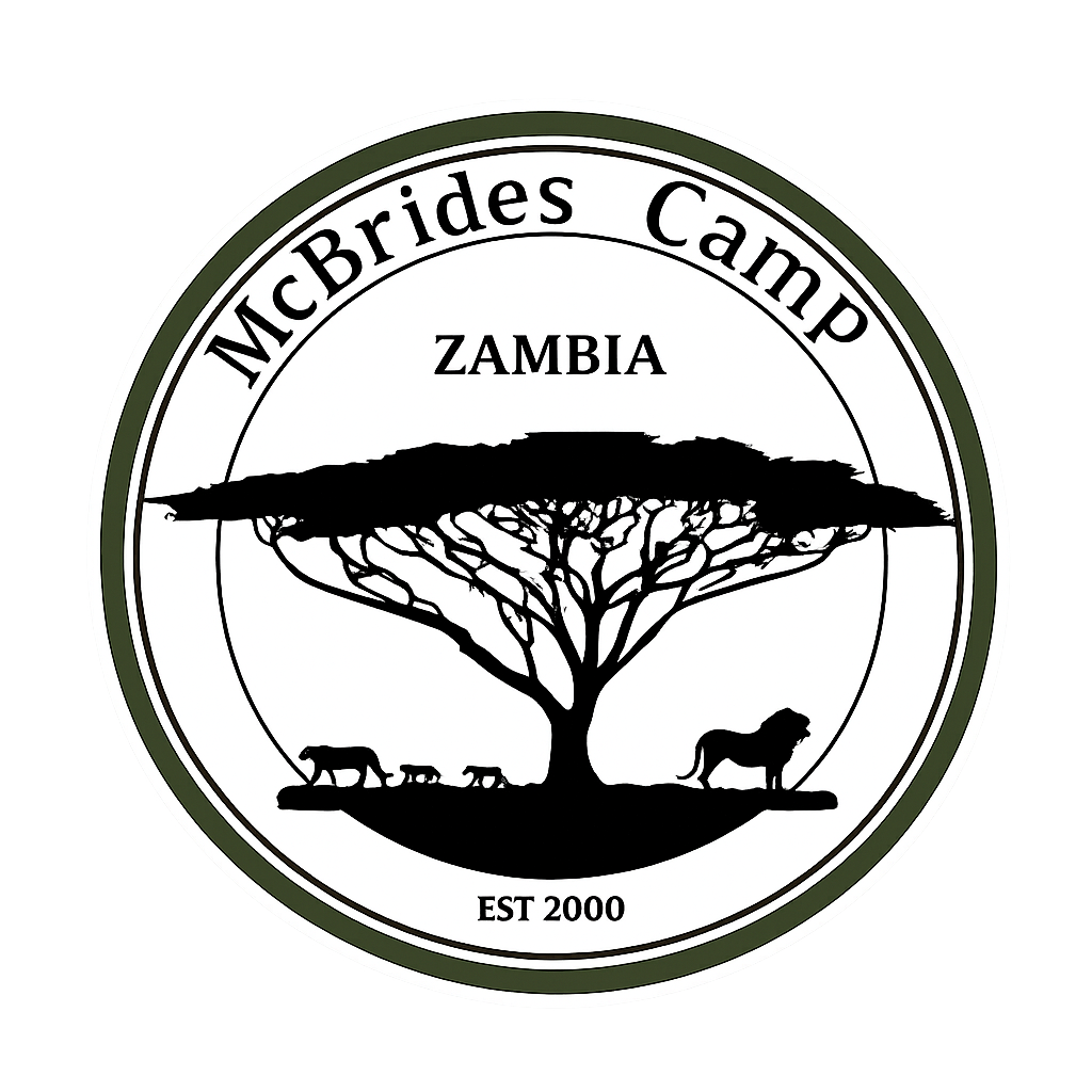 McBrides Logo New 2026